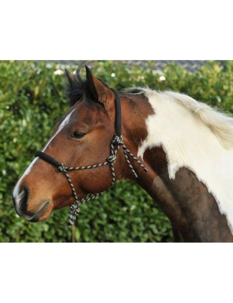 Povrazova ohlávka podložená HKM