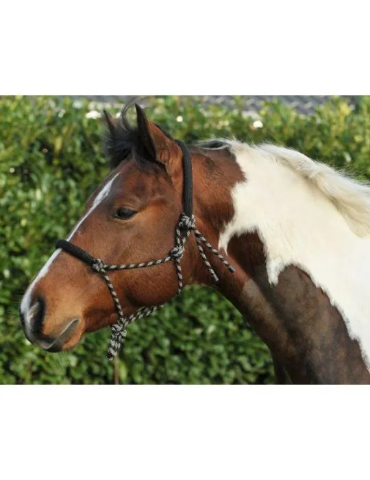 Povrazova ohlávka podložená HKM