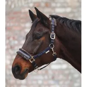 Ohlávka Kristiansand Winter Time