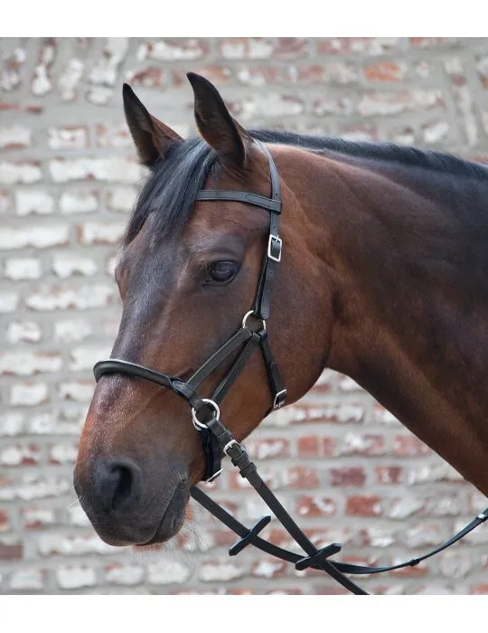 Bezzubadlová uzda Linda Tellington-Jones Lindell