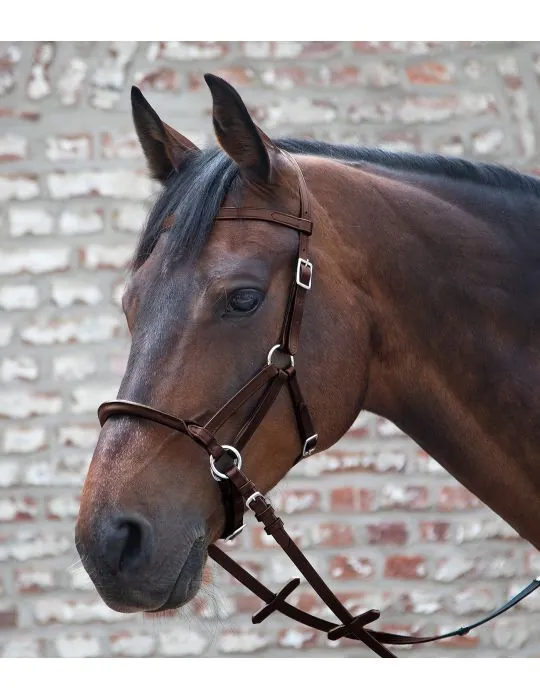 Bezzubadlová uzda Linda Tellington-Jones Lindell