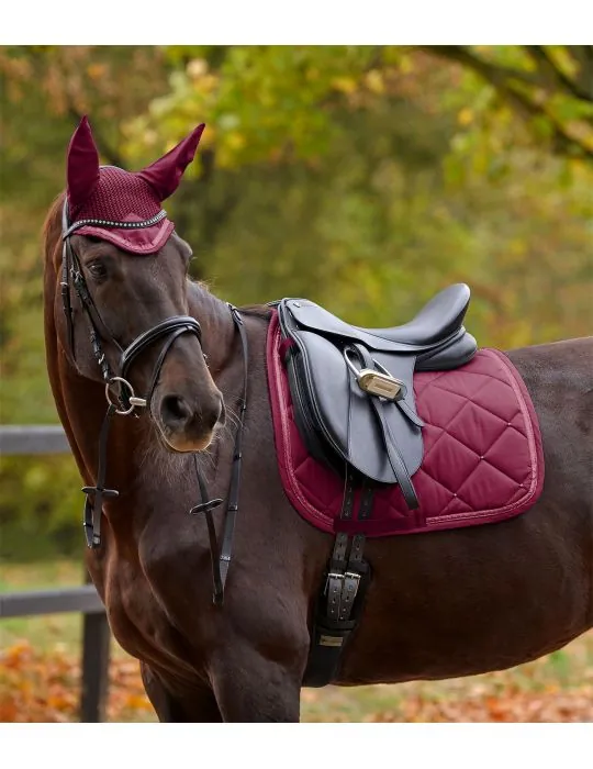 Podsedlova deka Competition Waldhausen