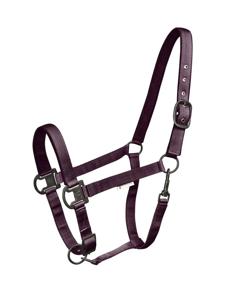 Ohlavka Halter Gloomy