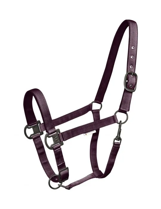 Ohlavka Halter Gloomy