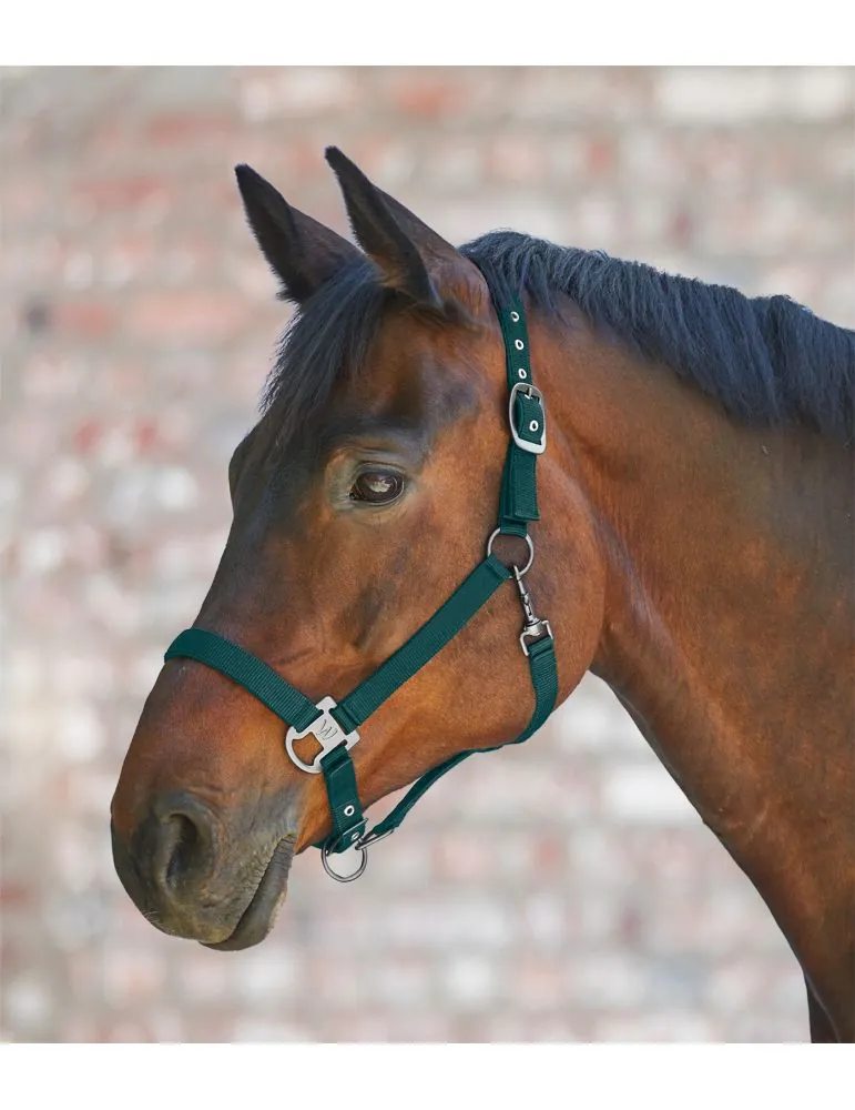 Ohlavka Halter Gloomy