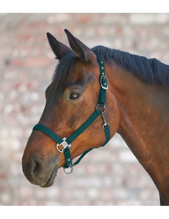 Ohlavka Halter Gloomy