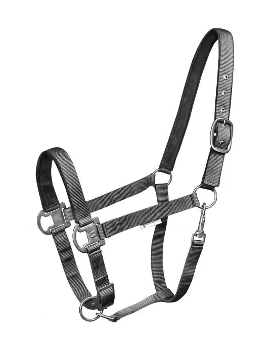 Ohlavka Halter Gloomy