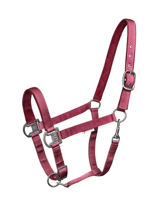 Ohlavka Halter Gloomy