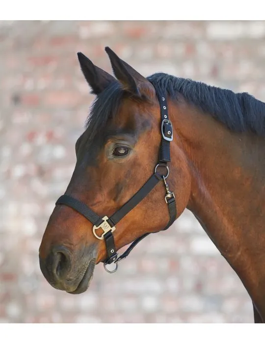 Ohlavka Halter Gloomy