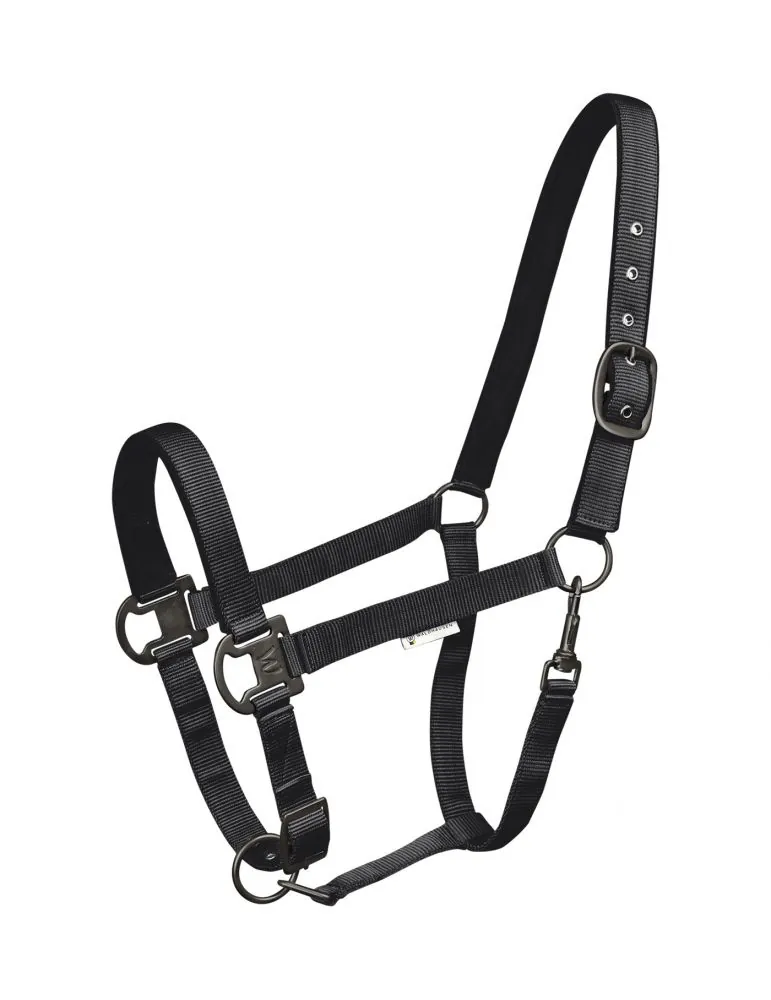 Ohlavka Halter Gloomy