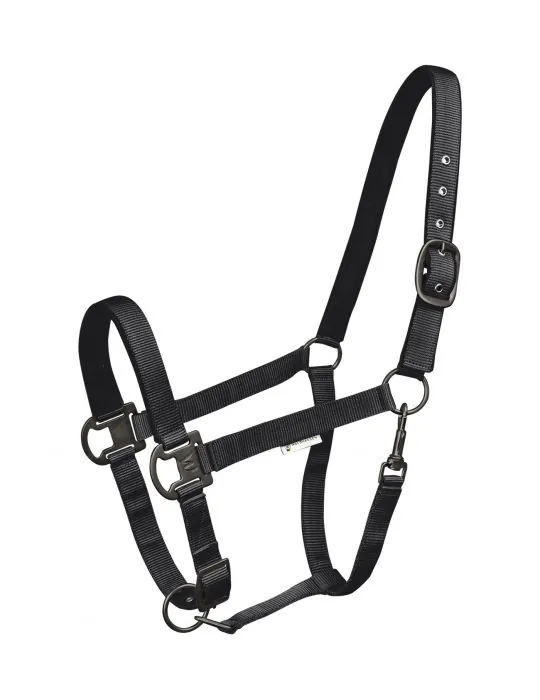 Ohlavka Halter Gloomy