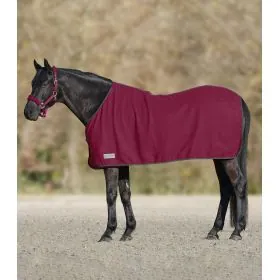 Deka fleesova Economic