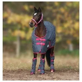 Deka fleesova Kantrie Unicorn hearts 2