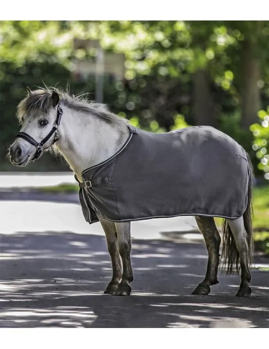 Deka Fleesova Economic Waldhausen