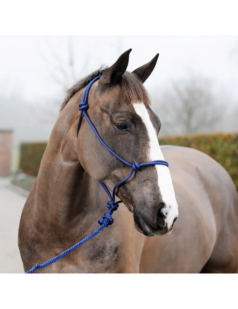 Ohlavka parelli s voditkom Horze