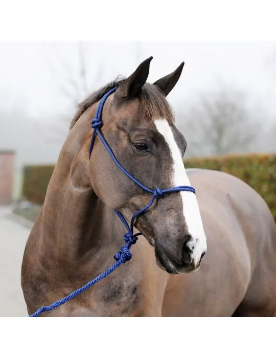 Ohlavka parelli s voditkom Horze