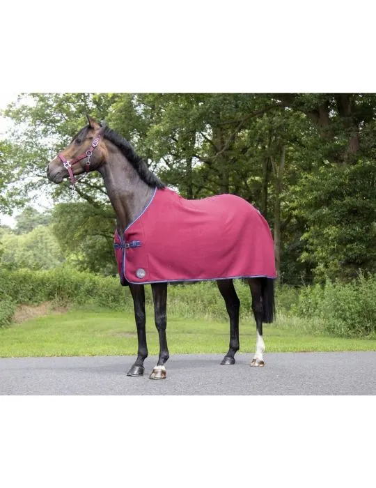 Fleesova deka HKM Madrid