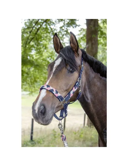 Ohlávka s vodítkom Santa Rosa HKM