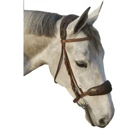 Gélový chránič nánosníka/hlavy C.S.O