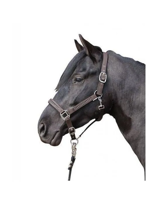 Ohlávka Crystal HKM