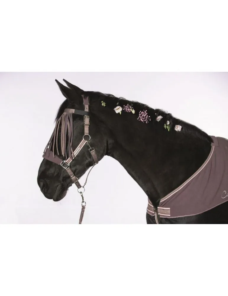 Ohlávka so strapcami a vodítkom HKM