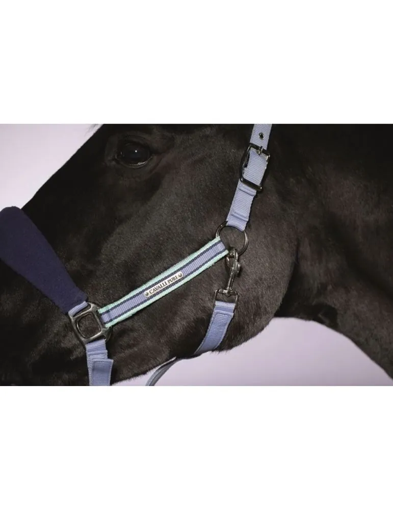 Ohlávka so strapcami a vodítkom HKM