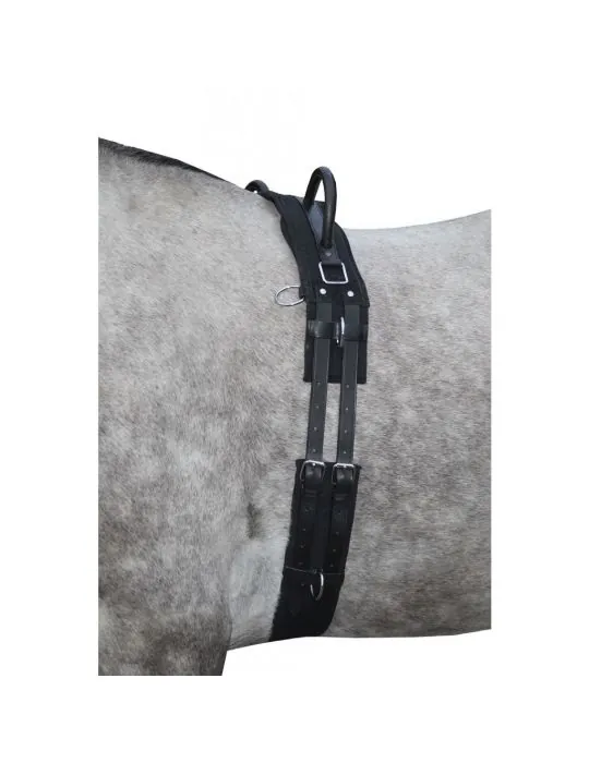 Lonžovací obrušník s madlami Canvas HKM