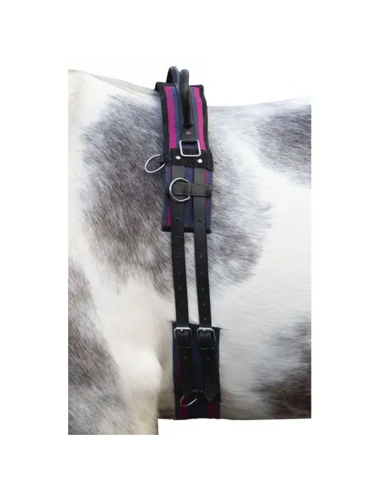 Lonžovací obrušník s madlami Canvas HKM