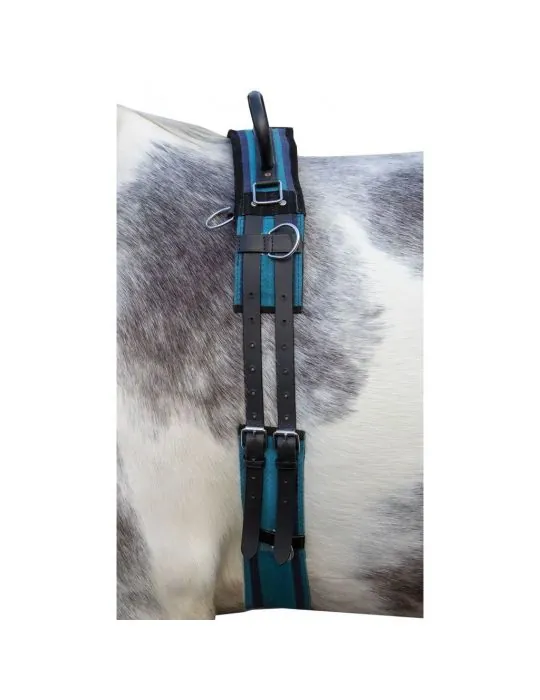 Lonžovací obrušník s madlami Canvas HKM