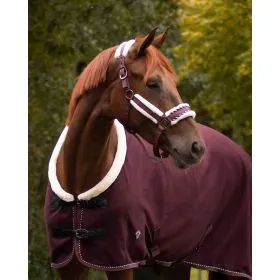 Ohlávka+vodítko Diamond set QHP 2