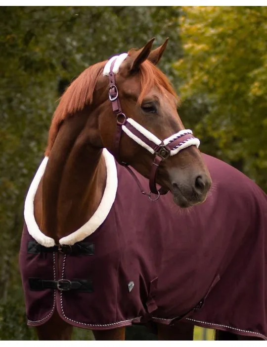 Ohlávka+vodítko Diamond set QHP