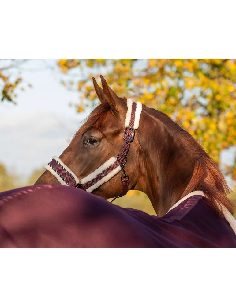 Ohlávka+vodítko Diamond set QHP