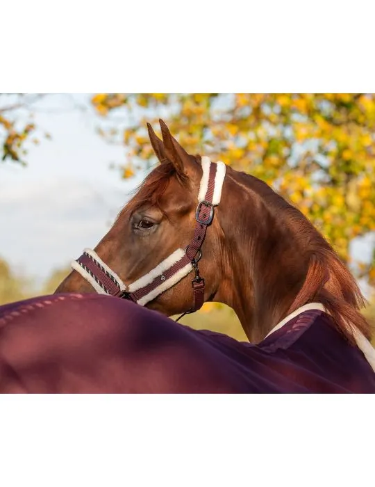 Ohlávka+vodítko Diamond set QHP