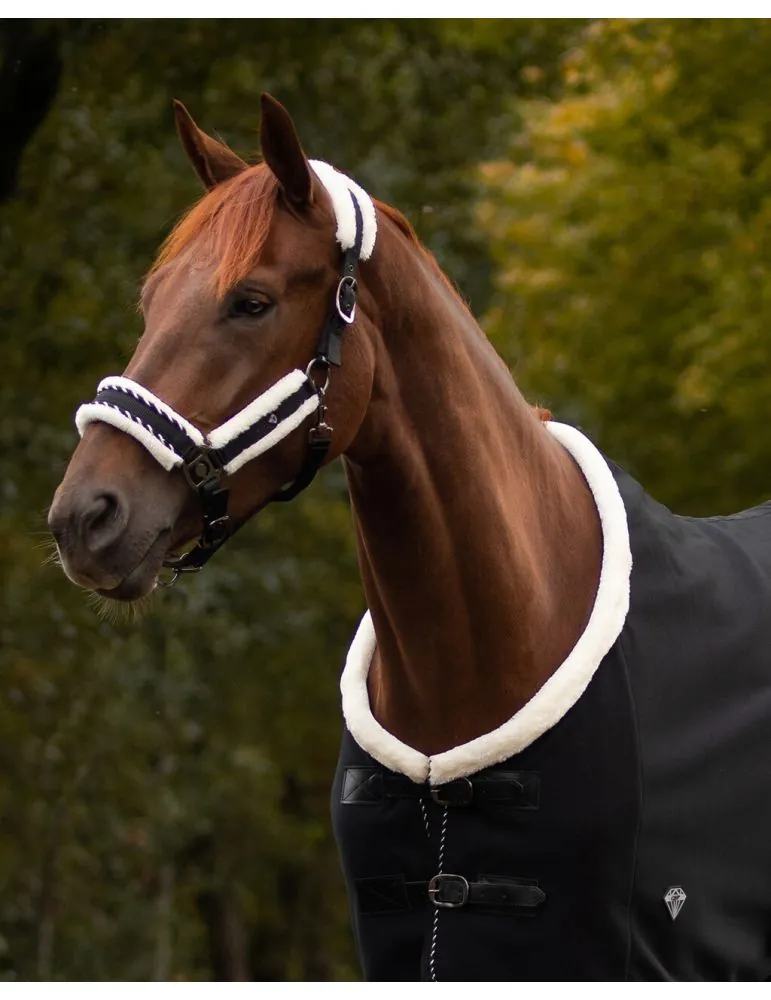 Ohlávka+vodítko Diamond set QHP