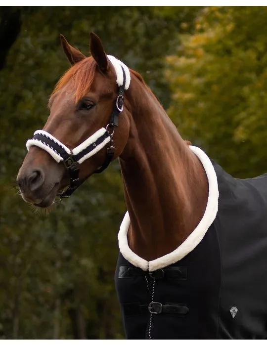 Ohlávka+vodítko Diamond set QHP