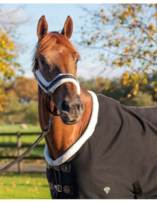 Ohlávka+vodítko Diamond set QHP