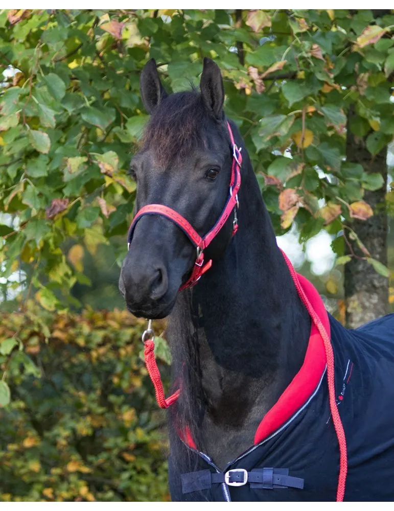 Ohlávka+vodítko Q Friesian set QHP