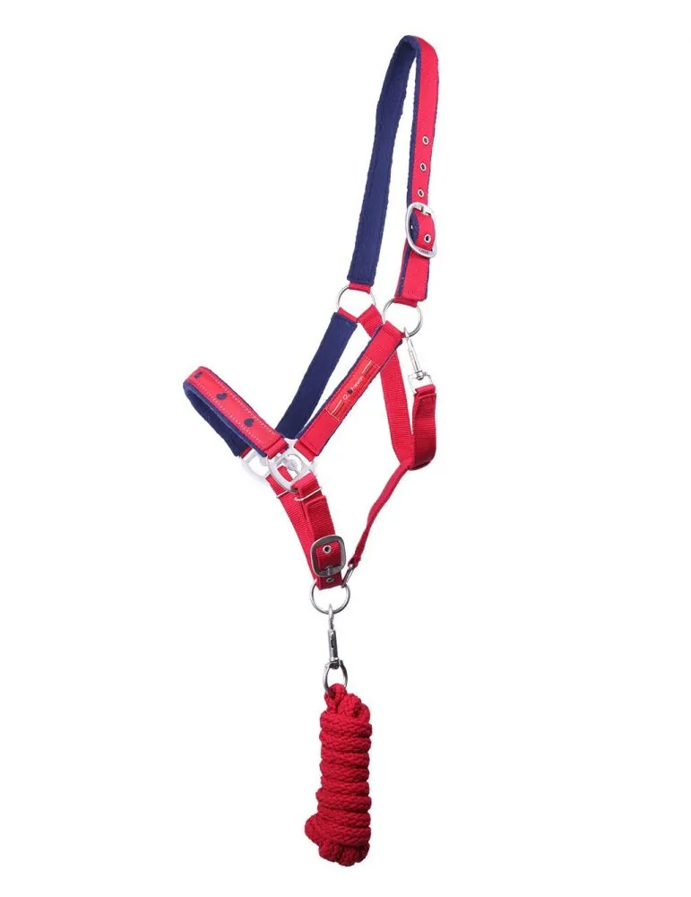 Ohlávka+vodítko Q Friesian set QHP