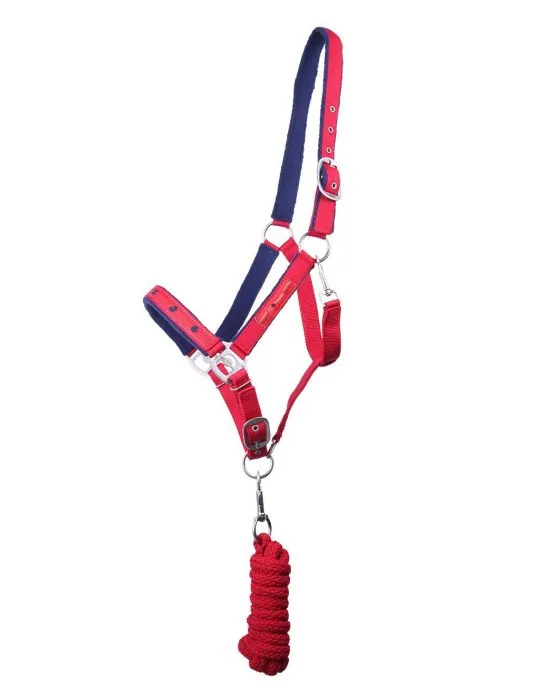 Ohlávka+vodítko Q Friesian set QHP