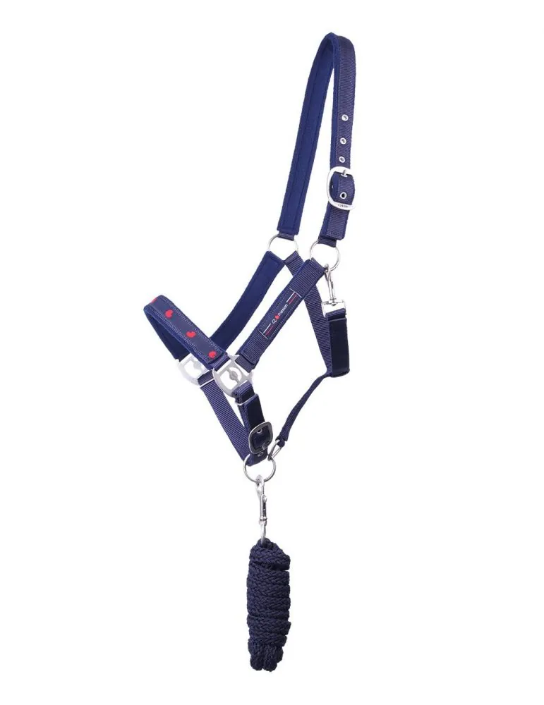 Ohlávka+vodítko Q Friesian set QHP