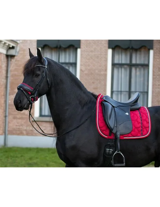 Podsedlová deka Q Friesian QHP