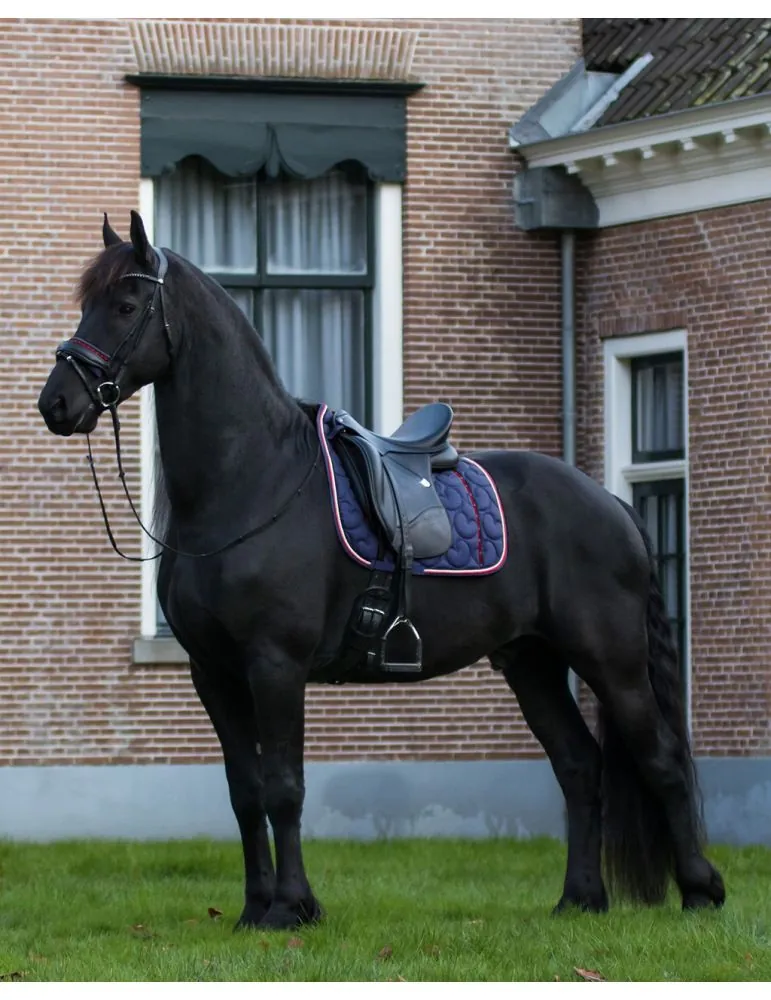 Podsedlová deka Q Friesian QHP