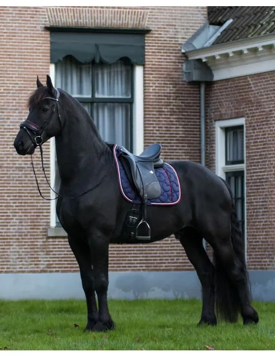 Podsedlová deka Q Friesian QHP