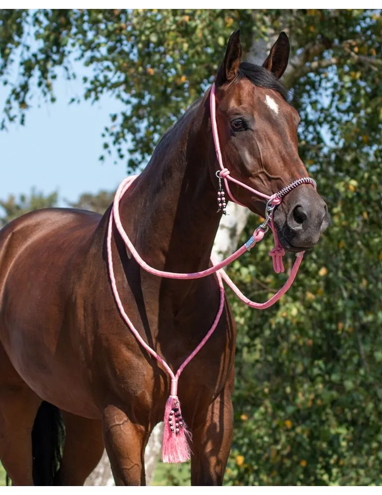 Povrazová ohlávka, oťaže, nákrčník QHP Liberty