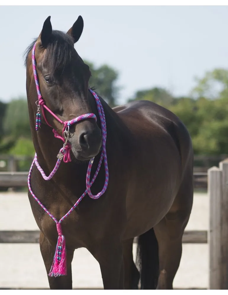 Povrazová ohlávka, oťaže, nákrčník QHP Liberty