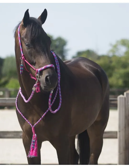 Povrazová ohlávka, oťaže, nákrčník QHP Liberty