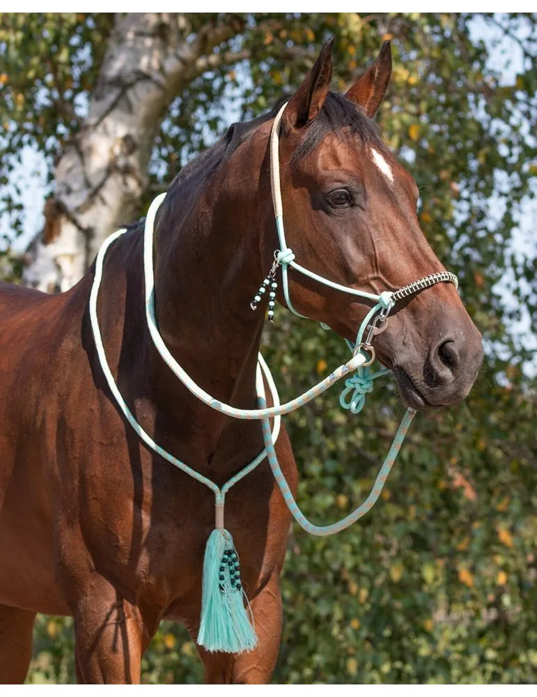 Povrazová ohlávka, oťaže, nákrčník QHP Liberty