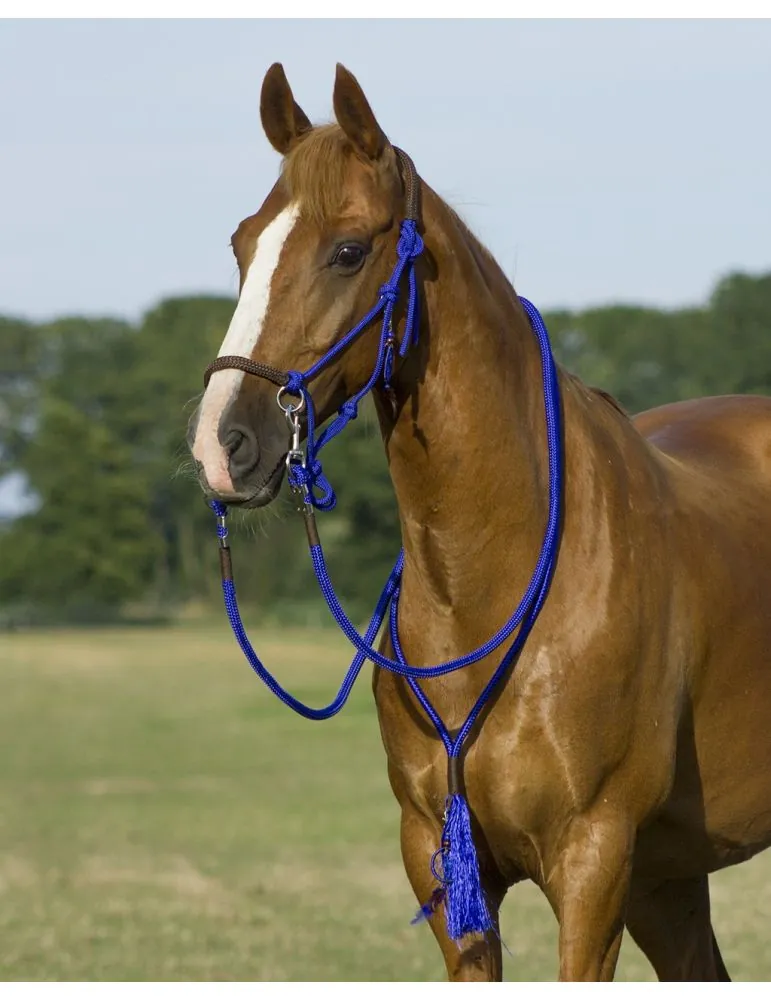 Povrazová ohlávka, oťaže, nákrčník QHP Liberty