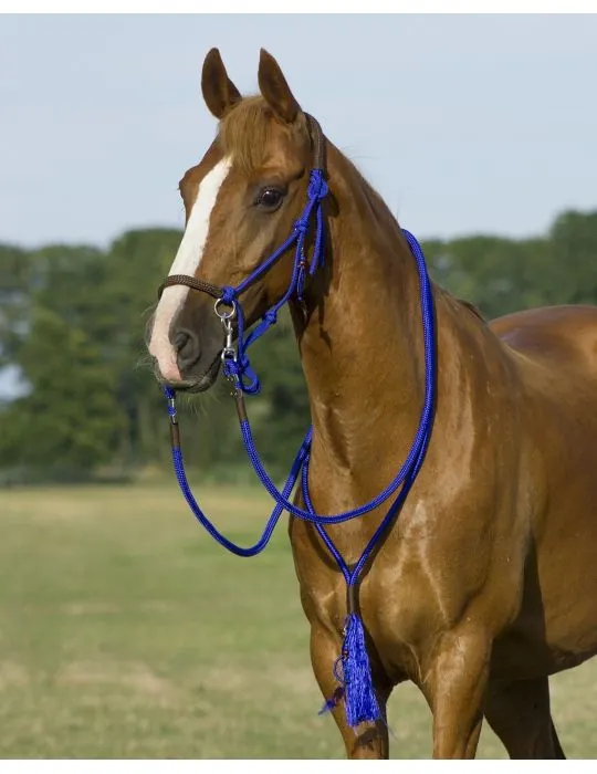 Povrazová ohlávka, oťaže, nákrčník QHP Liberty