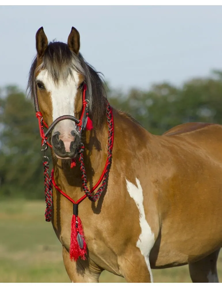 Povrazová ohlávka, oťaže, nákrčník QHP Liberty
